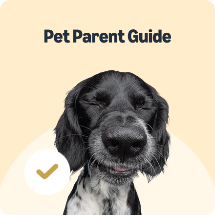 Pet Parent Guide