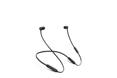 Beats Flex