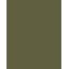 Olive Green Olive Green