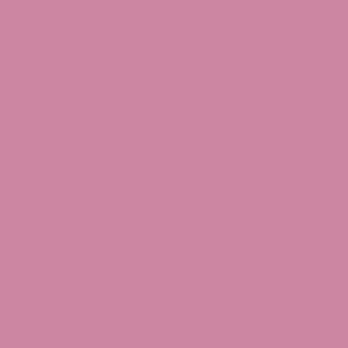 Image of Winsor & Newton Promarker, Alcohol Based Markers, Dusky Rose (R327), Double Tipped Drawing Marker Set for Artists, Graphic Designers, Illustrators - Chisel & Fine Twin Tip, Streak Free Coverage