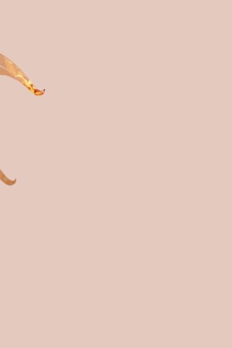 Games Untold (International Edition) 0316582786 Book Cover