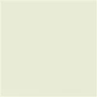 Rosco Roscolux 1/8 Plus Green, 20x24"
