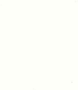 Bravada Routless Economy Line Custom Cordless 2 Inch Faux Wood Blinds, 22Wx36L, White