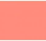 Satin Wrap Luxury Tissue Wrapping Paper Coral 5 Sheet 50 x 76 cm - Acid Free