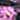 Image of FD&D Multiple Use Shining Screw Cap, Pink Butterfly Pattern with M5 Machine Screw