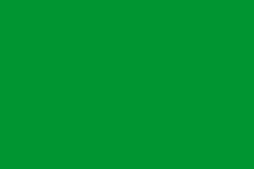 Drapeau XL Fatimid historique pour commémorations et expositions - 2