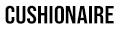Next Step Group logo