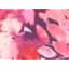 Pink Burst Watercolor Floral