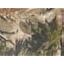 Woods Camo