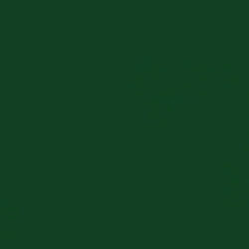 Image of Rust-Oleum 7538838 Professional High Performance Enamel Spray Paint, 15 oz, Gloss Hunter Green