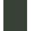 KHAKI GREEN NEW