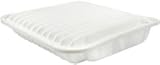 Mechanics Choice Air Filter for 2004-2012 Mitsubishi Eclipse, Endeavor, Galant (2.4L 2378cc) (OE