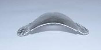 Amazon.co.jp: 歯科 総義歯 金属床 サンプル 模型 見本 入れ歯