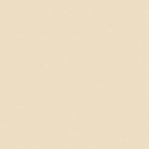 Rosco un 1/4 CTO 20X24 Amber - Rosco RS340911