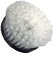 White Standard Carpet Brush