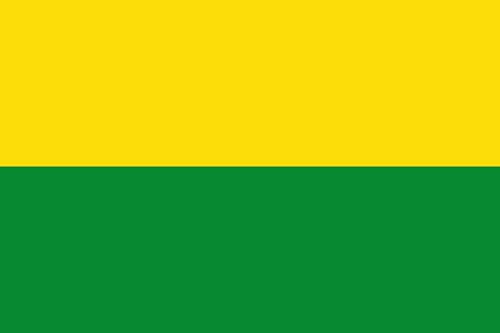Drapeau Vichada Colombie grand format paysage - Pavillon extérieur large