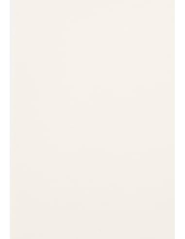 Netuno 100 hojas de papel de colores crudo A4 210x297 mm 120g Malmero Craie cartulina imprimible papel grueso para manualidades tarjetas álbumes folletos invitaciones Navidad cajas menús escuela
