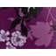 Dark Berry Blossom Floral