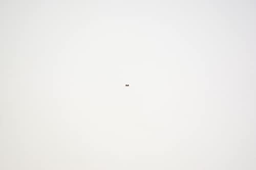 Fox Shox Detent Spring - Compression, Fit Damper - 039-00-243