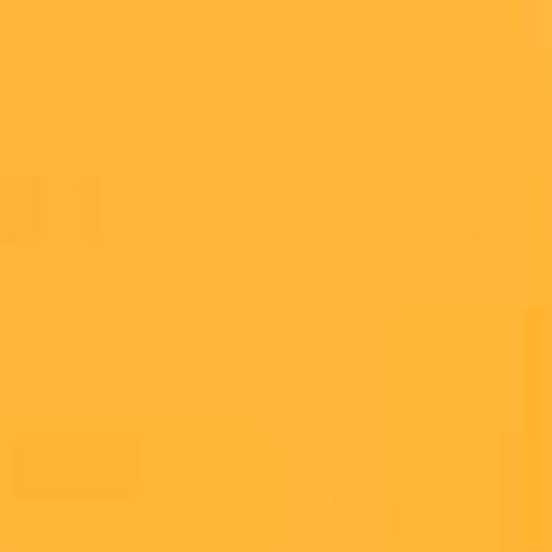 Arancione 4 Pezzi Filtri Colorati Trasparenti Gelatine Fotografiche per Faretti Led per Correzione Colore CTO 50x40 cm