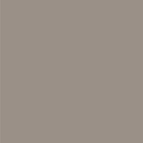 Image of Dupli-Color Perfect Match Premium Automotive Paint, Light Prairie Tan (M), 8 oz