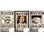 Unframed Poster Set & Poster Strips