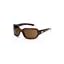 Tortoise/Polarized Brown