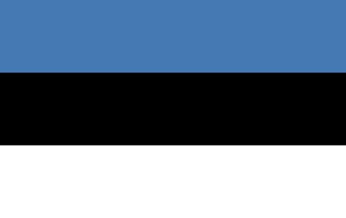 Drapeau Estonie 1918 grand format résistant aux UV pavillon Eesti - 2