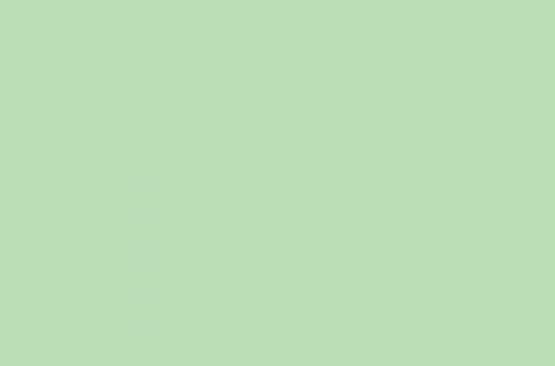 Clearcut - 15mm Lightweight Furniture Board for Campervan Construction Water resistant - Campervan and Motorhome (Pistachio, Half Sheet) — image 1