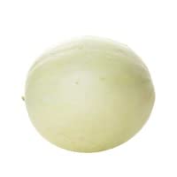 Melon Honeydew Small