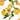 Plus Size Floral Print Halter Swimwear One Piece Pin up Tankini Swimwear Yellow