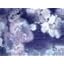 Navy Spray Floral