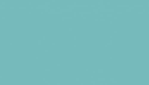 Vernis de protection pour bois extérieur longue durée couleur vert clair - 3