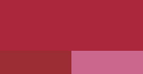Lefranc Bourgeois Flashe, Extra-Fine Acrylic Vinyl Emulsion, Artists Quality, Ruby Red, 125ml Pot, 125 ml (Pack of 1) - Image 2