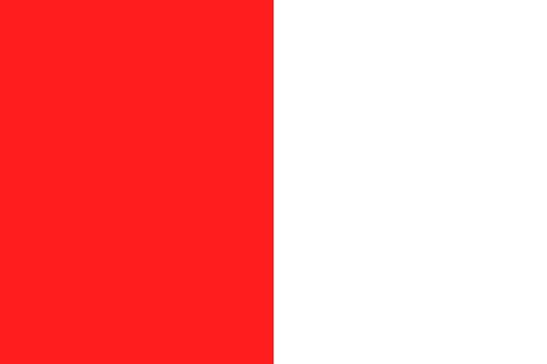 Drapeau de Pecq grand format couleurs officielles de la commune - 2