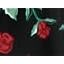 Red Rose Garden