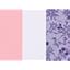 Pale Lilac Pack