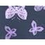 Ombre Butterfly