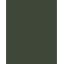 Kelp