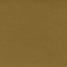 Holbein Gouache : 15ml Raw Umber, beige - Image 2