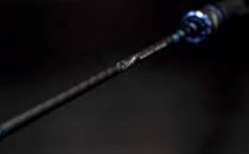 Amazon | タイラバスティックR GTSR-FS60SUL | BunBun | 船竿