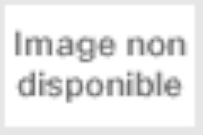 Fiches bac L'intégrale du tronc commun 1re générale Bac 2024 (toutes les matières): Français, Histoire-Géographie, Enseign...
