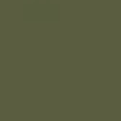 Faber-Castell Albrecht Durer - Vert olive jaunâtre #173