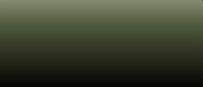 LifeColor Liquid Pigments LPW02 Black Umber