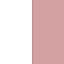Sonoran Rose