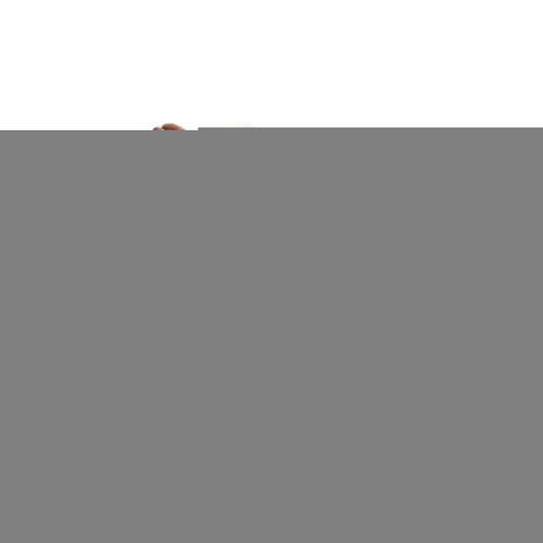 Lit traîneau pour chien – Canapé chaud pour chiot, lit en peluche confortable | Lit chaud pour chiens pour l'hiver pour les parents d'animaux de compagnie,...
