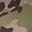 Multicam