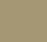 Eurobond Aluminium Composite Panel Interior ER 103 Champagne Silver (per Sheet = 3mm 32 Sqft)