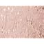 Pale Blush