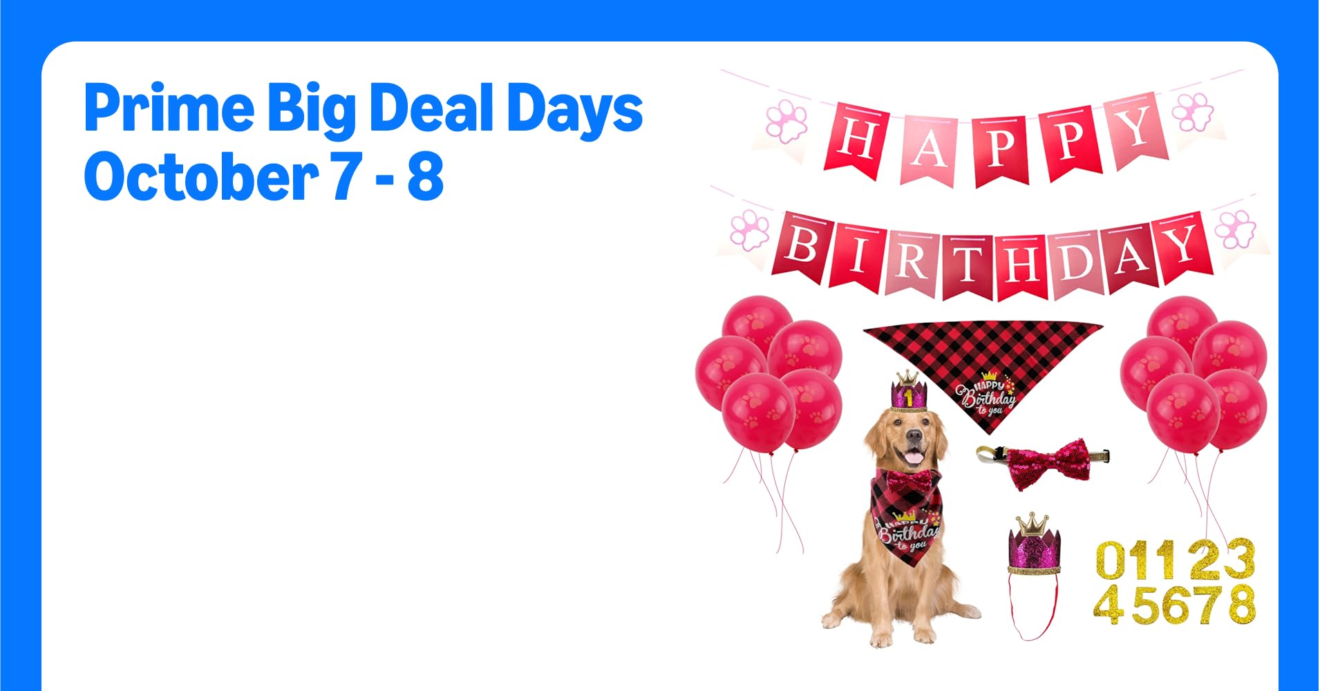 Dog Birthday Party Supplies Set Boy Dog Birthday ...